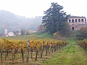 33 Torreglia